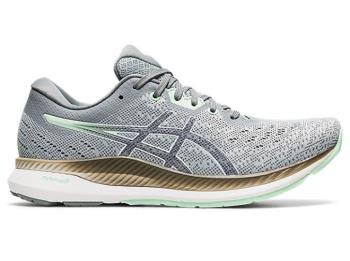 Asics EVORIDE Dame Løpesko NO820WA